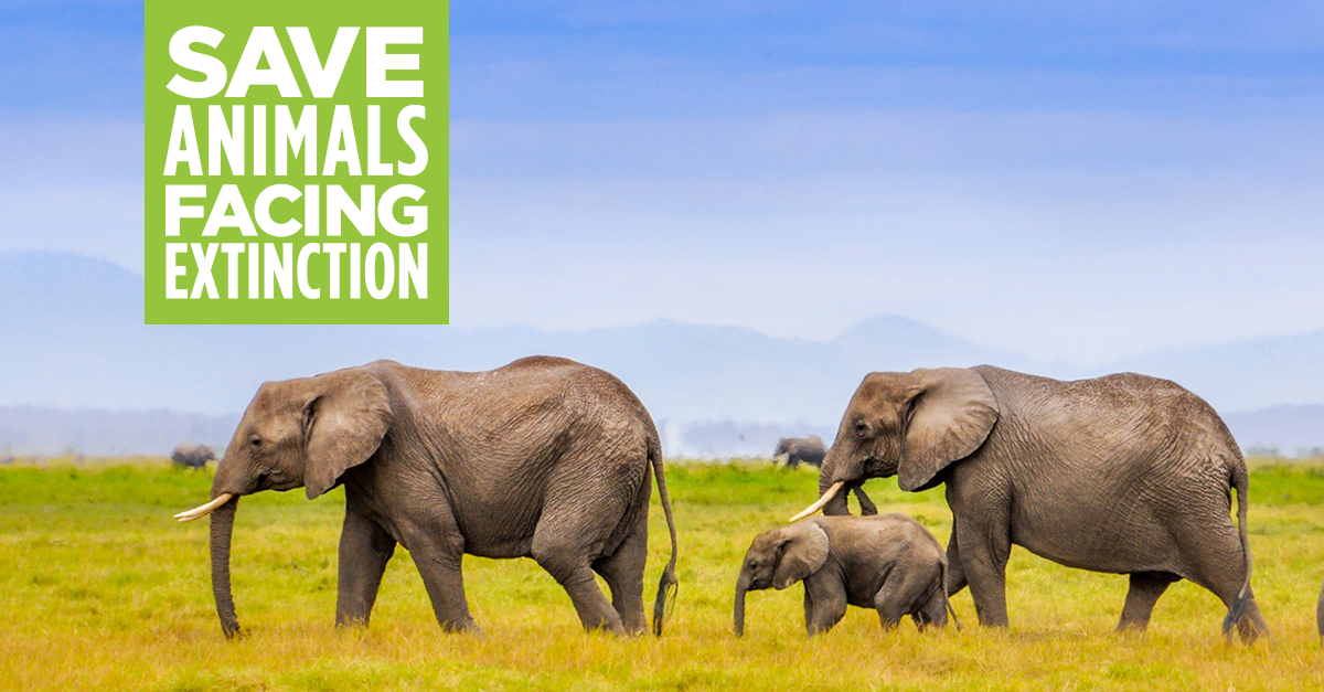 Association of Zoos and Aquariums endorses Yes On I-1401 - Save Animals