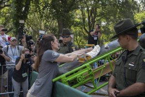 Photo of ivory being crushed at event